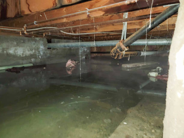  Paradise Hills, NM Water damage restoration Pros