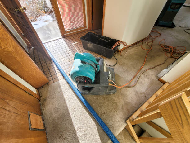 Best Sewage cleanup and water damage restoration  in Paradise Hills, NM
