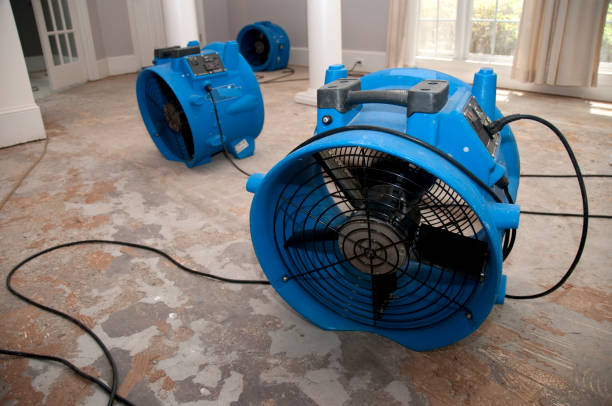 Best Local water damage restoration  in Paradise Hills, NM