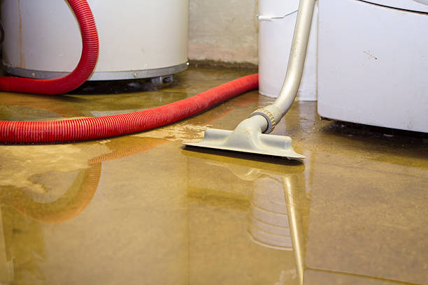 Trusted NM Water damage restoration Experts