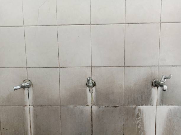 Best Fire Damage Restoration  in Paradise Hills, NM