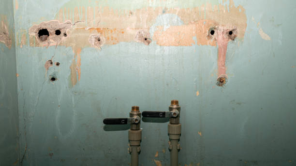 Paradise Hills, NM Water damage restoration Pros